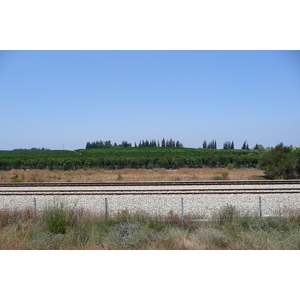 照片 以色列(Israel) 尼灿(Nitzan) 2007-06 112
