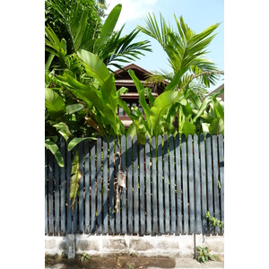 照片 泰国(Thailand) 清迈(Chiang Mai) 2010-12 52