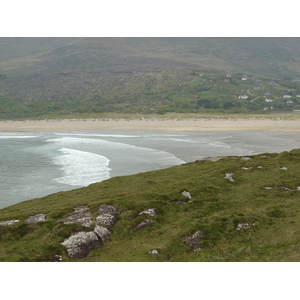 照片 爱尔兰(Ireland) 凯里郡(Kerry) 帕克纳西拉(Parknasilla) 2004-05 66