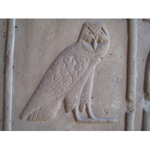 照片 埃及(Egypt) 卢克索(Luxor) 2007-04 22