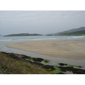 照片 爱尔兰(Ireland) 凯里郡(Kerry) 帕克纳西拉(Parknasilla) 2004-05 53