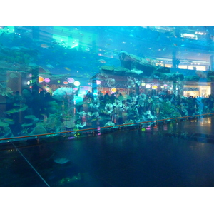 照片 阿联酋(United Arab Emirates) 迪拜(Dubai) 迪拜购物中心(The Dubai Mall) 2009-12 12