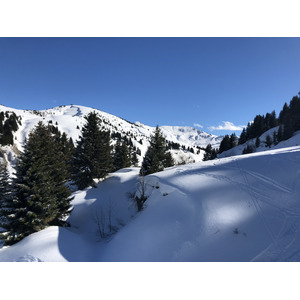 照片 法国(France) 梅杰夫(Megeve) 2019-03 83