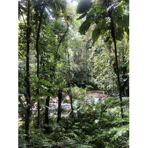 照片 瓜德罗普(Guadeloupe) 螯虾瀑布(Cascade aux ecrevisses) 2021-02 17