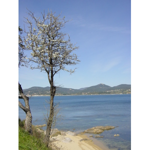 照片 法国(France) 圣特罗佩(Saint Tropez) 2002-03 62