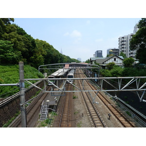 照片 日本(Japan) 东京(Tokyo) 代代木公园(Yoyogi Park) 2010-06 3
