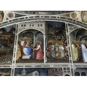 照片 意大利(Italy) 帕多瓦(Padua) 2022-05 206