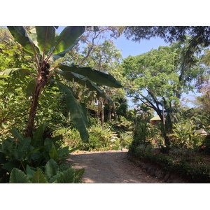 照片 哥斯达黎加(Costa Rica) 曼努埃尔安东尼奥(Manuel Antonio) 2015-03 524