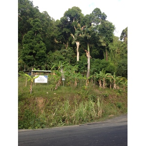 照片 哥斯达黎加(Costa Rica) 多米尼卡尔(Dominical) 2015-03 122