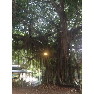 照片 哥斯达黎加(Costa Rica) 多米尼卡尔(Dominical) 2015-03 75