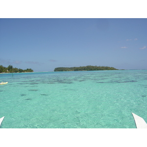 照片 波利尼西亚(Polynesia) 莫雷阿岛(Moorea) 2006-04 93