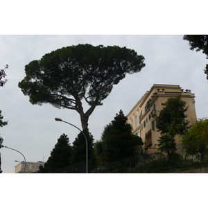 照片 意大利(Italy) 罗马(Rome) 加里波第街(Via Garibaldi) 2007-11 2