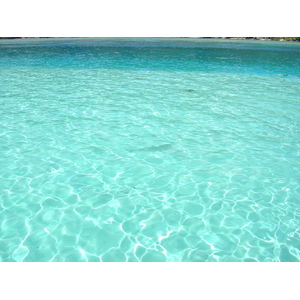 照片 波利尼西亚(Polynesia) 莫雷阿岛(Moorea) 2006-04 122
