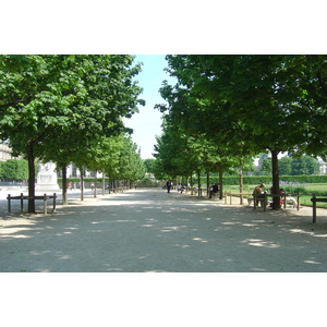 照片 法国(France) 巴黎(Paris) 杜乐丽花园(Garden of Tuileries) 2007-05 37