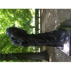 照片 法国(France) 巴黎(Paris) 罗丹博物馆(Rodin Museum) 2017-06 27