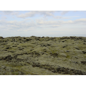 照片 冰岛(Iceland) 1号公路：杰古沙龙至维克(Road 1 Jokulsarlon to vik) 2003-06 12