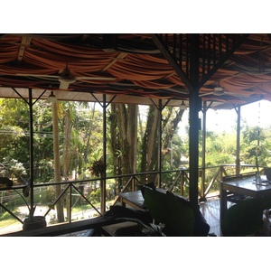照片 哥斯达黎加(Costa Rica) 曼努埃尔安东尼奥(Manuel Antonio) 2015-03 431