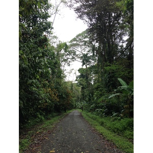 照片 哥斯达黎加(Costa Rica) 卡维塔(Cahuita) 2015-03 88