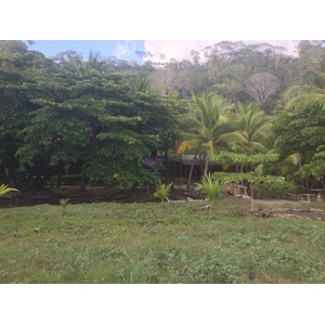 照片 哥斯达黎加(Costa Rica) 多米尼卡尔(Dominical) 2015-03 64