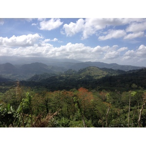 照片 哥斯达黎加(Costa Rica) 图里亚尔瓦(Turrialba) 2015-03 19