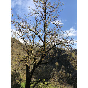 照片 法国(France) 孔克(Conques) 2018-04 98