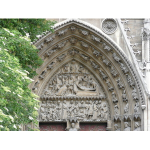 照片 法国(France) 巴黎(Paris) 巴黎圣母院(Notre Dame) 2007-05 221