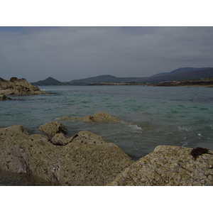 照片 爱尔兰(Ireland) 凯里郡(Kerry) 帕克纳西拉(Parknasilla) 2004-05 9