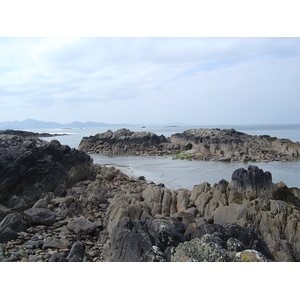 照片 爱尔兰(Ireland) 凯里郡(Kerry) 帕克纳西拉(Parknasilla) 2004-05 10