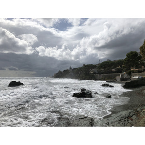 照片 法国(France) 科西嘉岛(Corsica) 圣马蒂诺-迪洛塔(San Martino di Lota) 2018-09 13