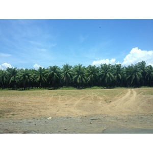 照片 哥斯达黎加(Costa Rica) 哈科(Jaco) 2015-03 68