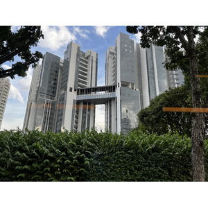 照片 新加坡(Singapore) 2023-01 86