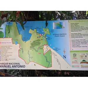 照片 哥斯达黎加(Costa Rica) 曼努埃尔安东尼奥(Manuel Antonio) 2015-03 353
