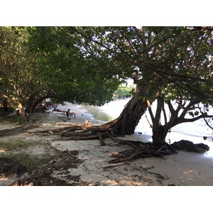 照片 泰国(Thailand) 沙美岛(Ko Samet) 2014-12 209