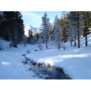 照片 瑞士(Switzerland) 圣莫里茨施拉里尼亚(St Moritz Schlarigna) 2007-01 71