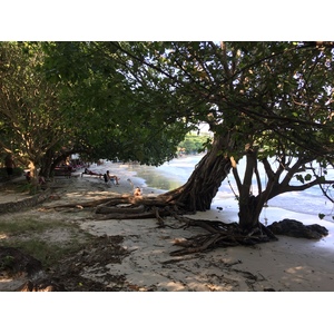照片 泰国(Thailand) 沙美岛(Ko Samet) 2014-12 182
