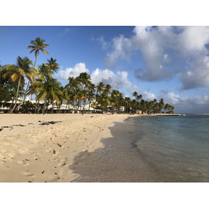 照片 瓜德罗普(Guadeloupe) 卡拉维尔海滩(La Caravelle Beach) 2021-02 130