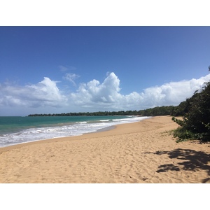 照片 瓜德罗普(Guadeloupe) 德艾(Deshaies) 2021-02 5