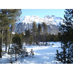 照片 瑞士(Switzerland) 圣莫里茨施拉里尼亚(St Moritz Schlarigna) 2007-01 12