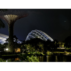 照片 新加坡(Singapore) 滨海湾花园(Garden by the bay) 2023-01 19