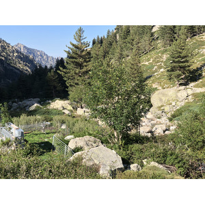 照片 法国(France) 科西嘉岛(Corsica) 雷斯托尼卡山谷(La Restonica) 2020-07 57