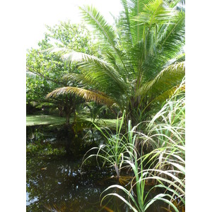 照片 塞舌尔(Seychelles) 大姐妹岛(Grande Soeur) 2011-10 95