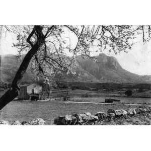 照片 法国(France) 科西嘉岛(Corsica) 老明信片(Old Postcards) 1900-01 176