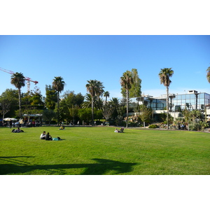 照片 法国(France) 尼斯(Nice) 凤凰公园(Phoenix Parc) 2007-10 46