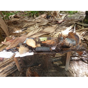 照片 塞舌尔(Seychelles) 五月谷(Vallee de Mai) 2011-10 95