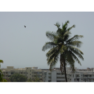 照片 印度(India) 孟买(Mumbai) 2003-05 59