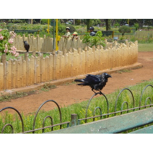照片 印度(India) 孟买(Mumbai) 2003-05 53