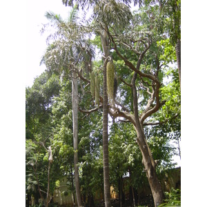 照片 印度(India) 孟买(Mumbai) 2003-05 71
