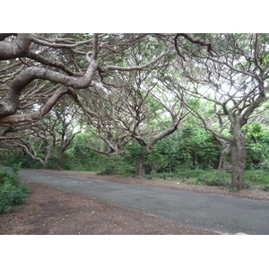 照片 新喀里多尼亚(New Caledonia) 松树岛(Ile des pins) 库托海滩(Kuto Beach) 2010-05 2