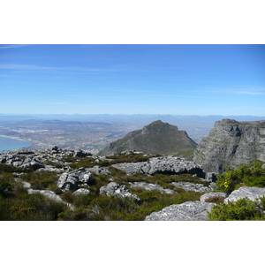 照片 南非(South Africa) 开普敦(Cape Town) 桌山(Table Mountain) 2008-09 7