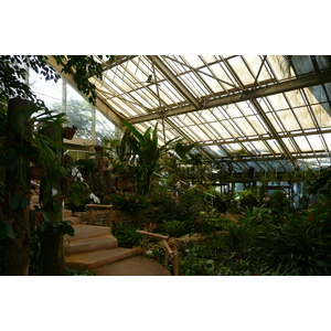 照片 法国(France) 尼斯(Nice) 凤凰公园(Phoenix Parc) 2007-10 32